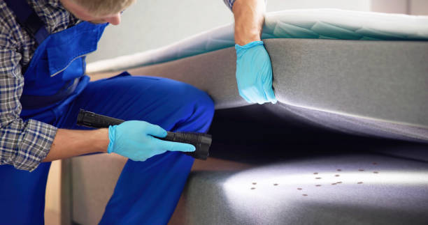 Best Best Pest Control Companies  in East Jordan, MI