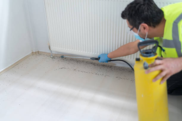 Best Best Pest Control Companies  in East Jordan, MI